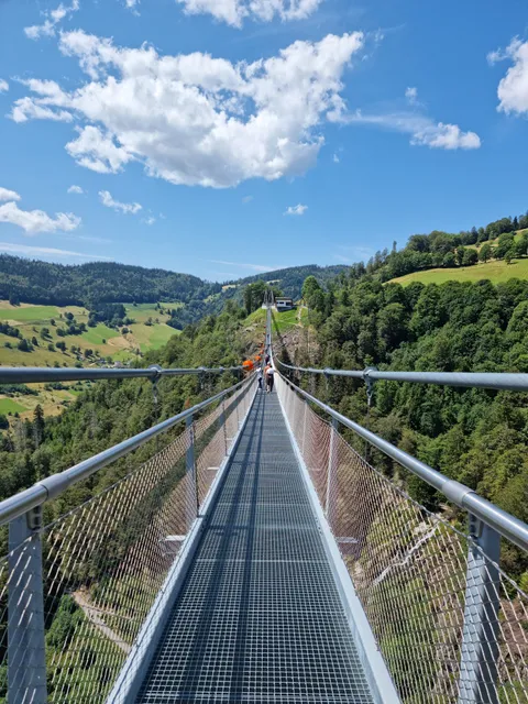 Blackforestline suspension bridge