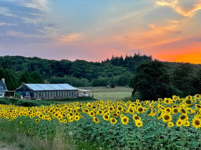Salle de réception GUIDEL au Domaine des Cavaliers proche Lorient, Morbihan