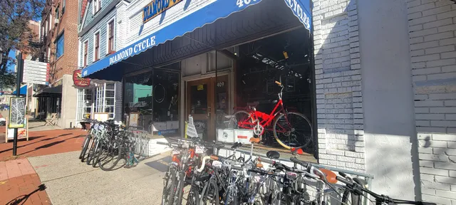 Diamond Cycle Montclair