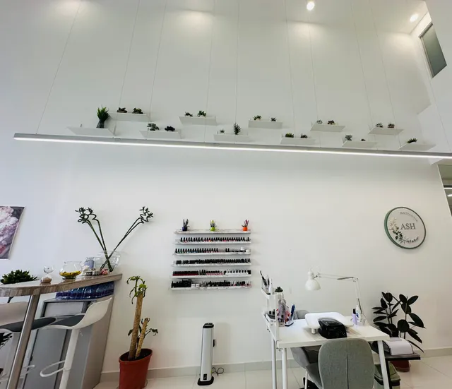Ash Beauty Lounge