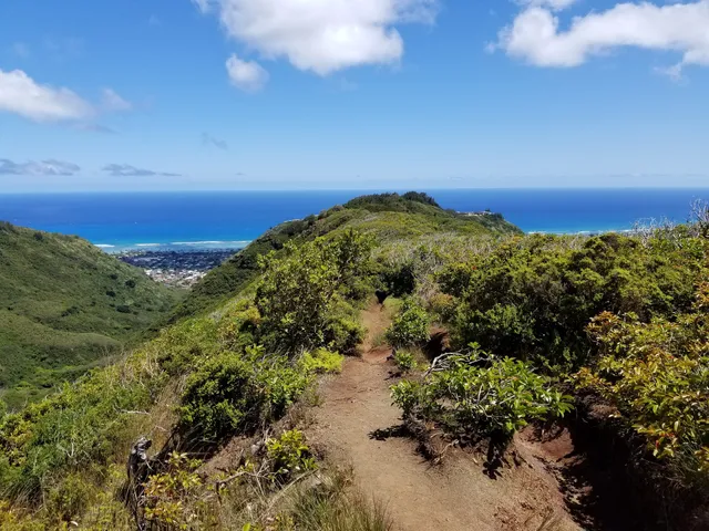 Hawaiʻi Loa Ridge Trail