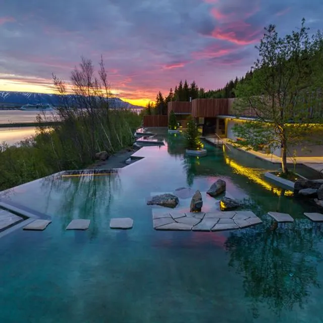 Forest Lagoon