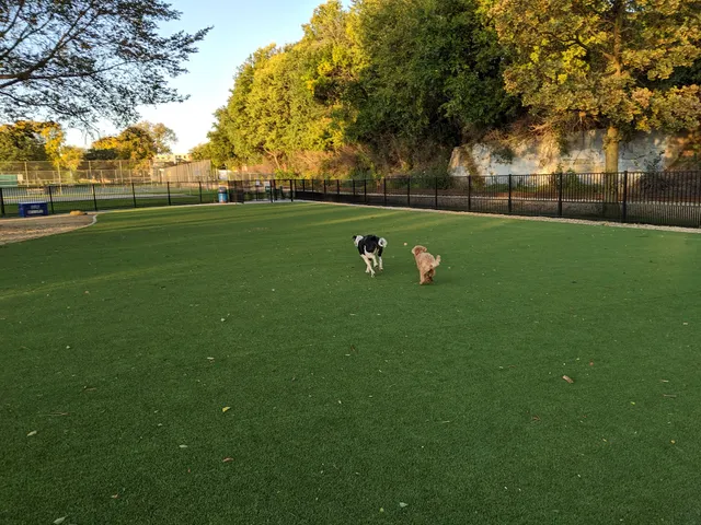Brittingham Park Dog Park