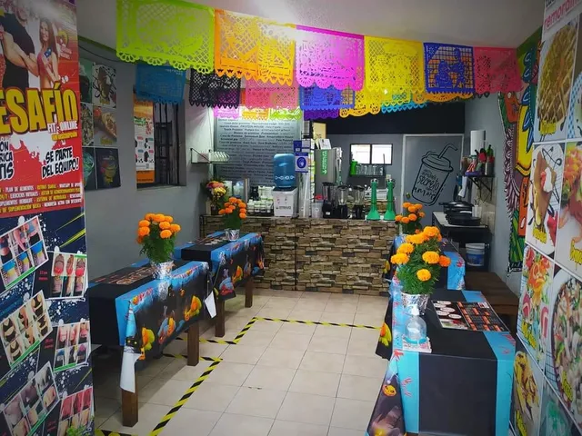 Protein Club Begonias