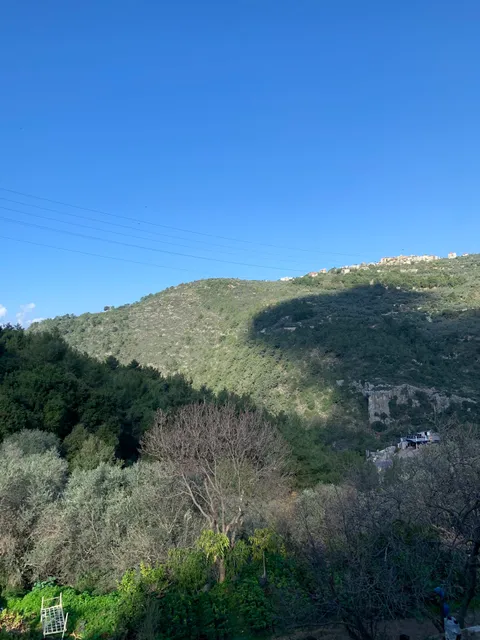 Shouf biosphere Reserve /Ain Zhalta-Bmohrai Forest