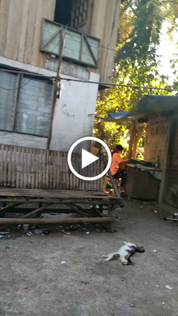 Bubble Tea Station BTS