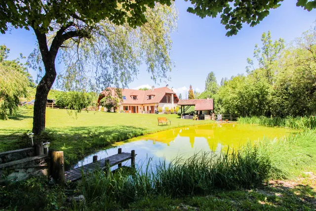 L'étang de la Tourne