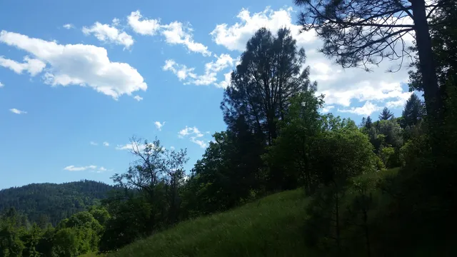 Lee Fong Park Disc Golf Course