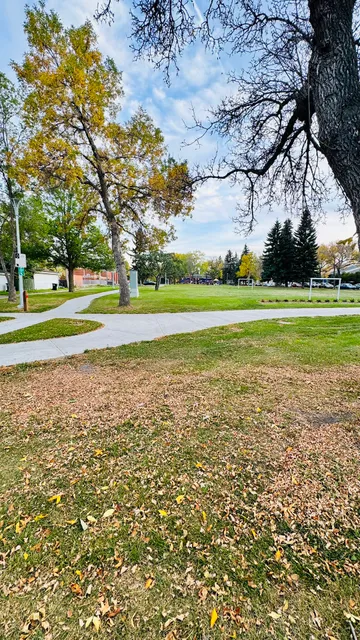 Eastwood Community League Rink