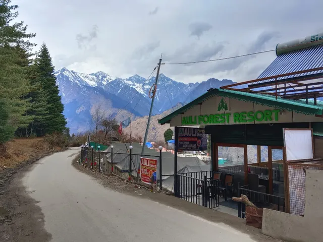 Auli Forest Resort