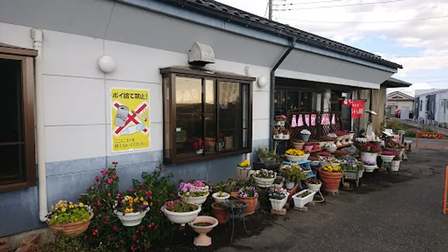 Chinese Restaurant Hiro-chan Hanten