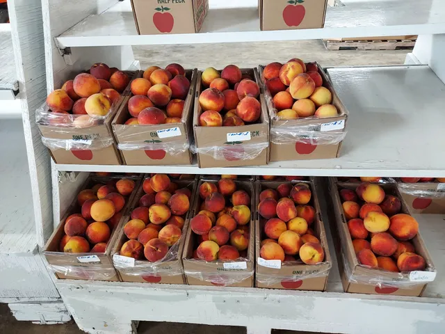 Peters Orchards Retail Market