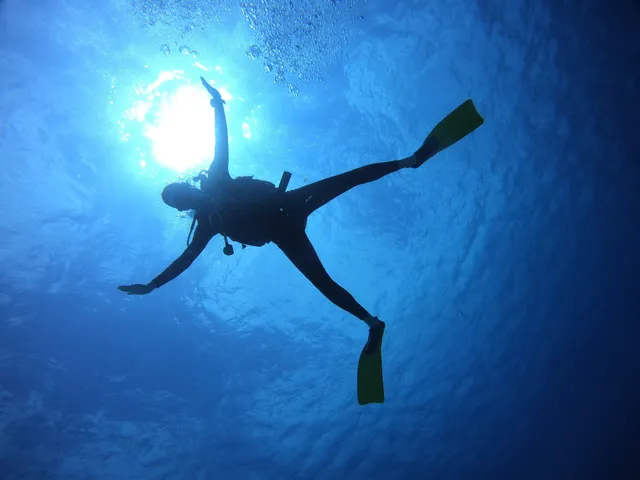 Barefoot Dive Center Cozumel