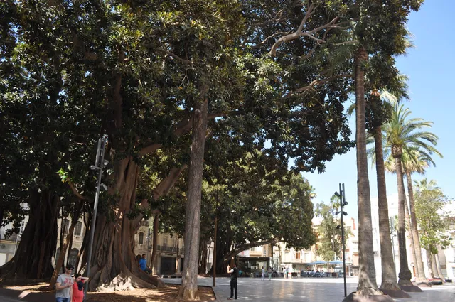 Sala de exposiciones Domus del Pórtico