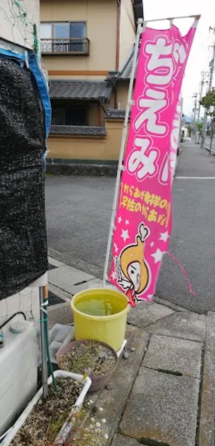 Karaage Chiemi (Fried chicken)