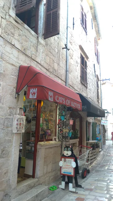 Cats Of Kotor