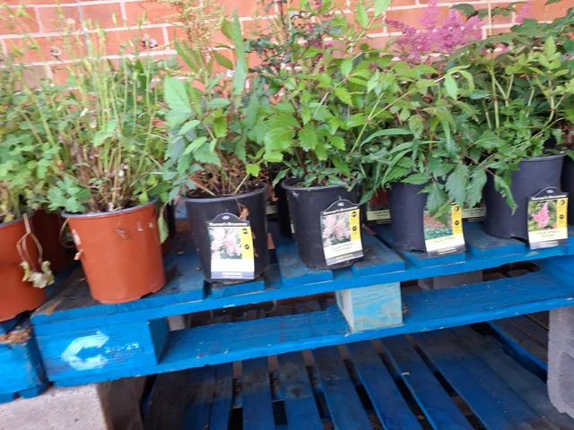 Crosstown Shopping Center