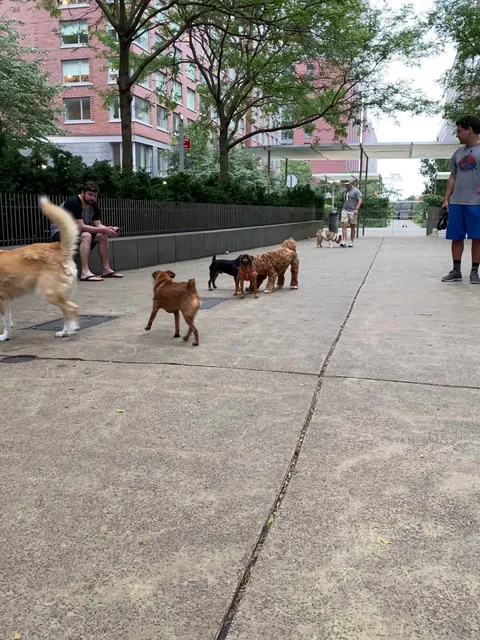 North End Dog Run
