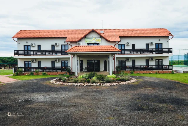 Pensiunea Willy Silvas