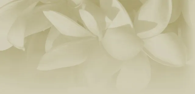 Aloha Island Lei and Floral