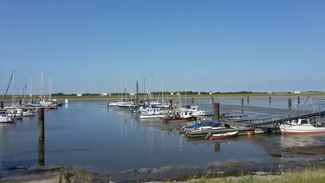 Camping Seeschwalbe - Wilfried Hartmann