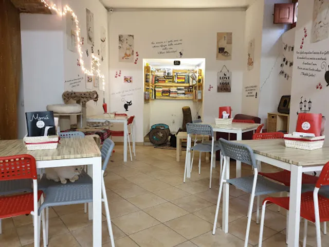 Cat Cafè di Chry