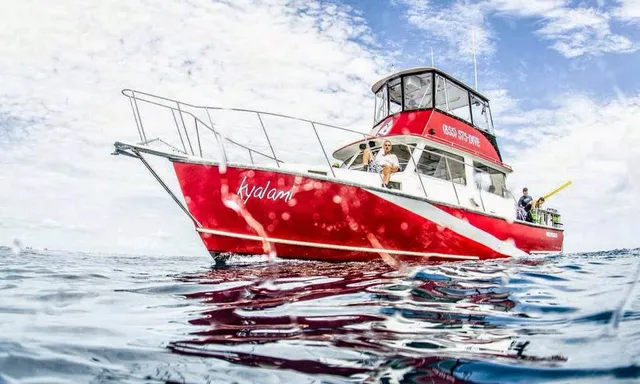 Jupiter Scuba Diving