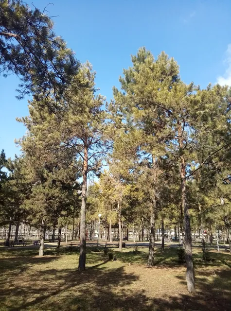 БАК саябағы