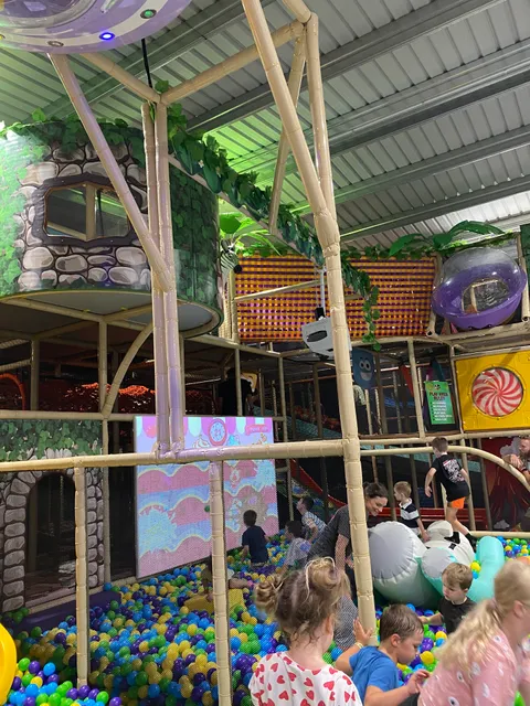 Go Wild Indoor Fun Park