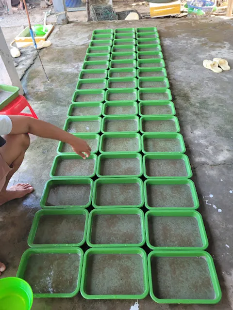 Công Ty Trách Nhiệm Hữu Hạn Một Thành Viên Thủy Sản Điệp Bướm