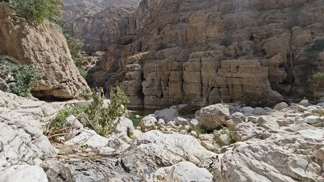 Wadi Shab Riverbed