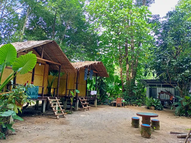 Khai jungle experience