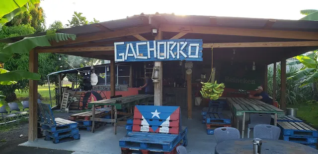 Gachorro camuñas