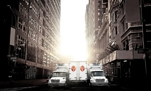 SRI Fine Art Services