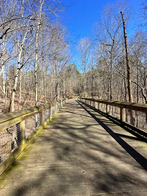 Ivy Creek Greenway at George Pierce Park