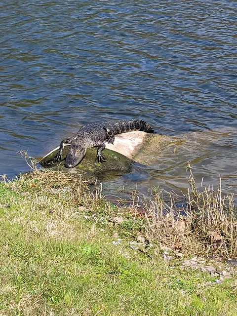 Shingle Creek Regional Park