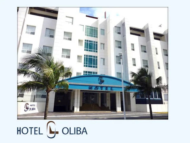 Hotel Boca del Río Oliba