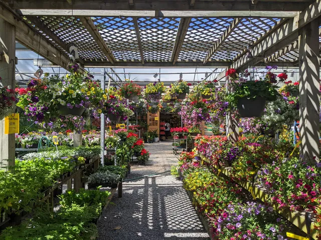 Mullen Garden Market