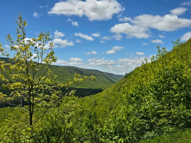 North Mountain look-off - The Aspy Fault
