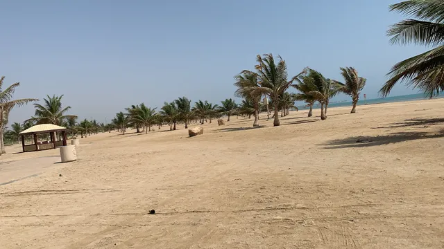 place image