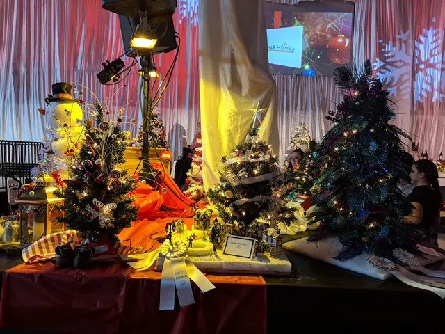 Providence Festival of Trees – Medford