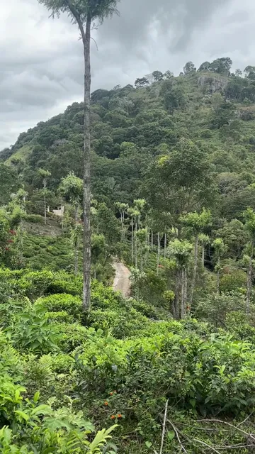 Anjanagiri, Kotagiri, amã Stays & Trails