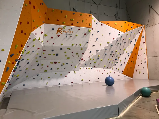 WISECLIMB - Rocódromo