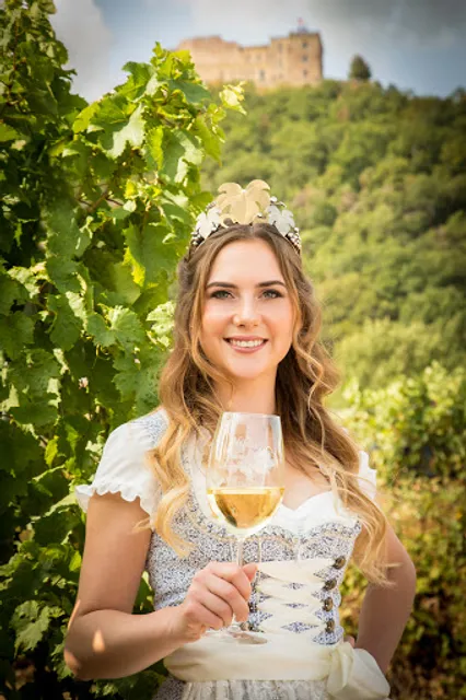 Disson Weingut und Destillerie, Wohnmobilstellplatz