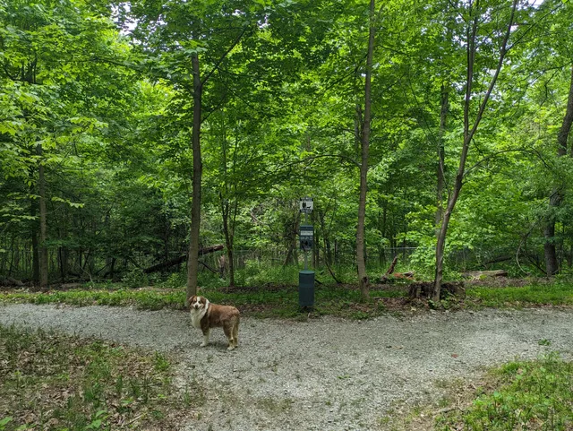Bark Park: Off-Leash Dog Park & Nature Trail