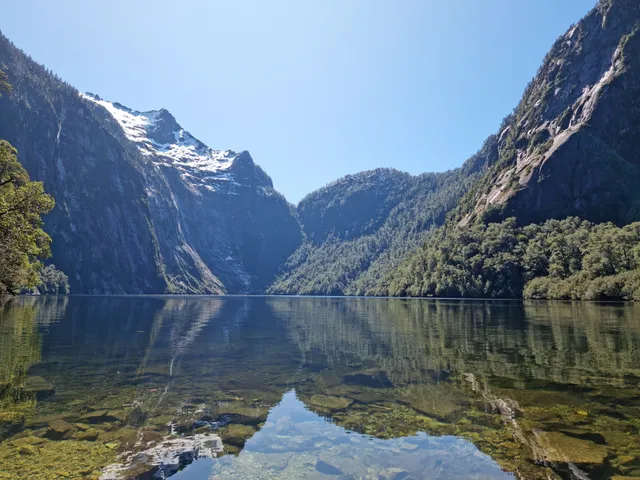 Parque Nacional Alerce Andino
