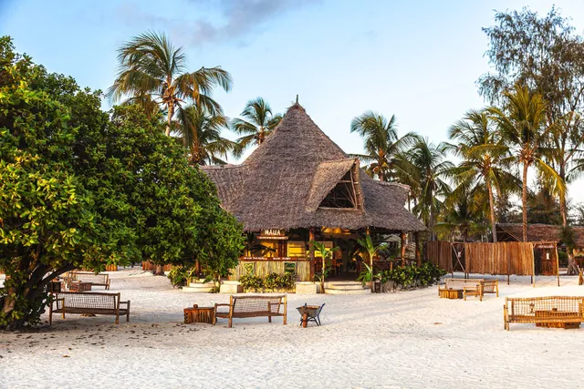 Paje Palms - Zanzibar