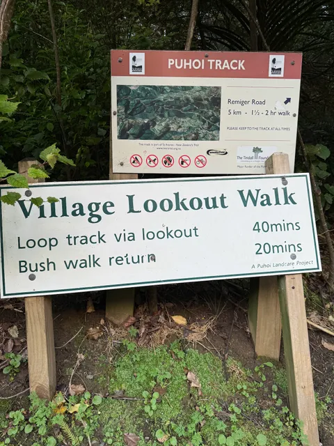 Puhoi Lookout Track