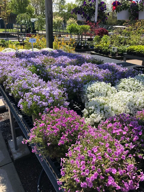 Gwazdacz Nursery & Greenhouses