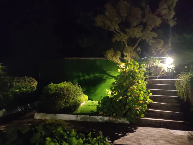 Seclude SummerVine, Kasauli, Himachal Pradesh